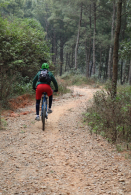Cycling