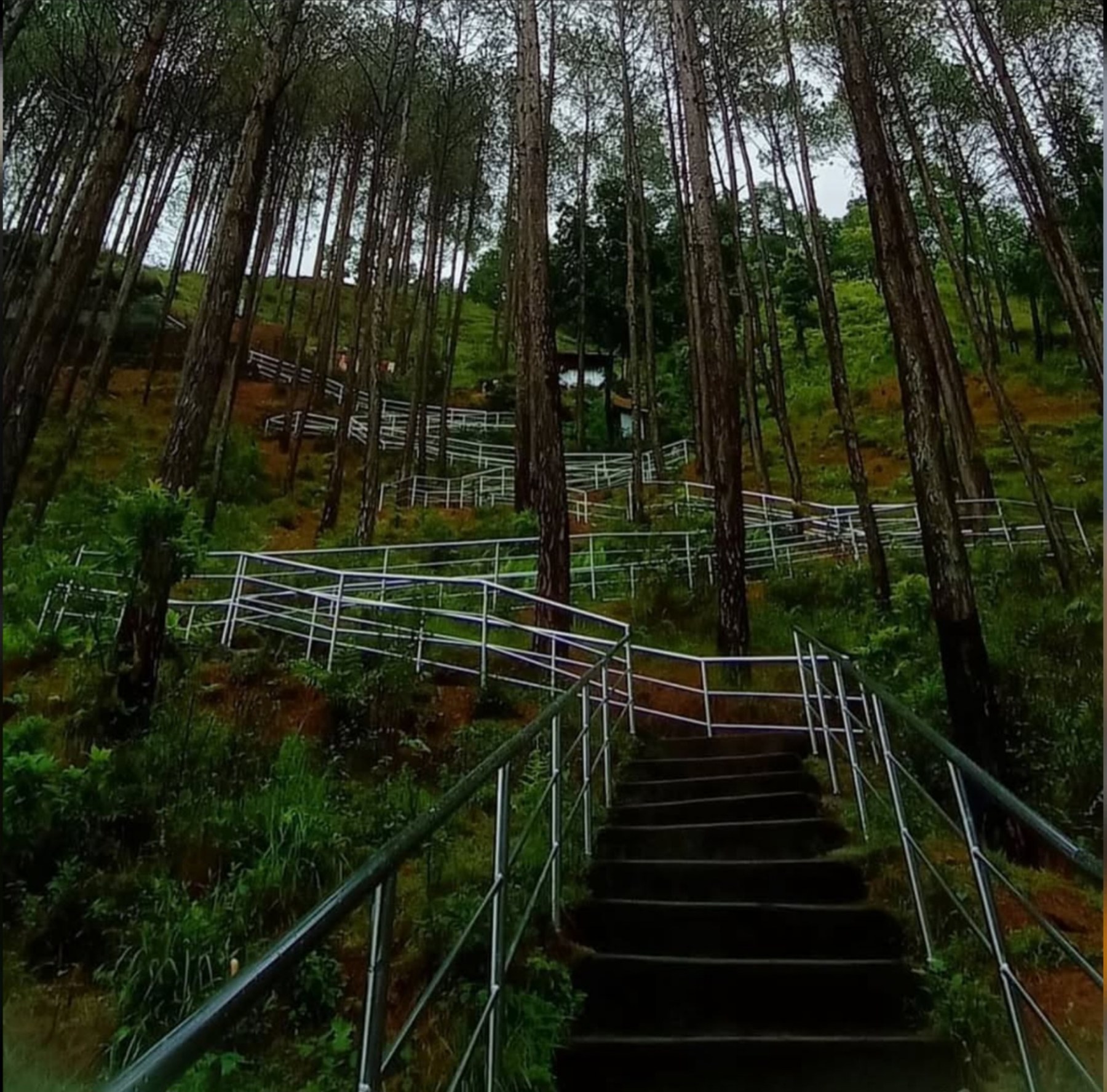 Hiking