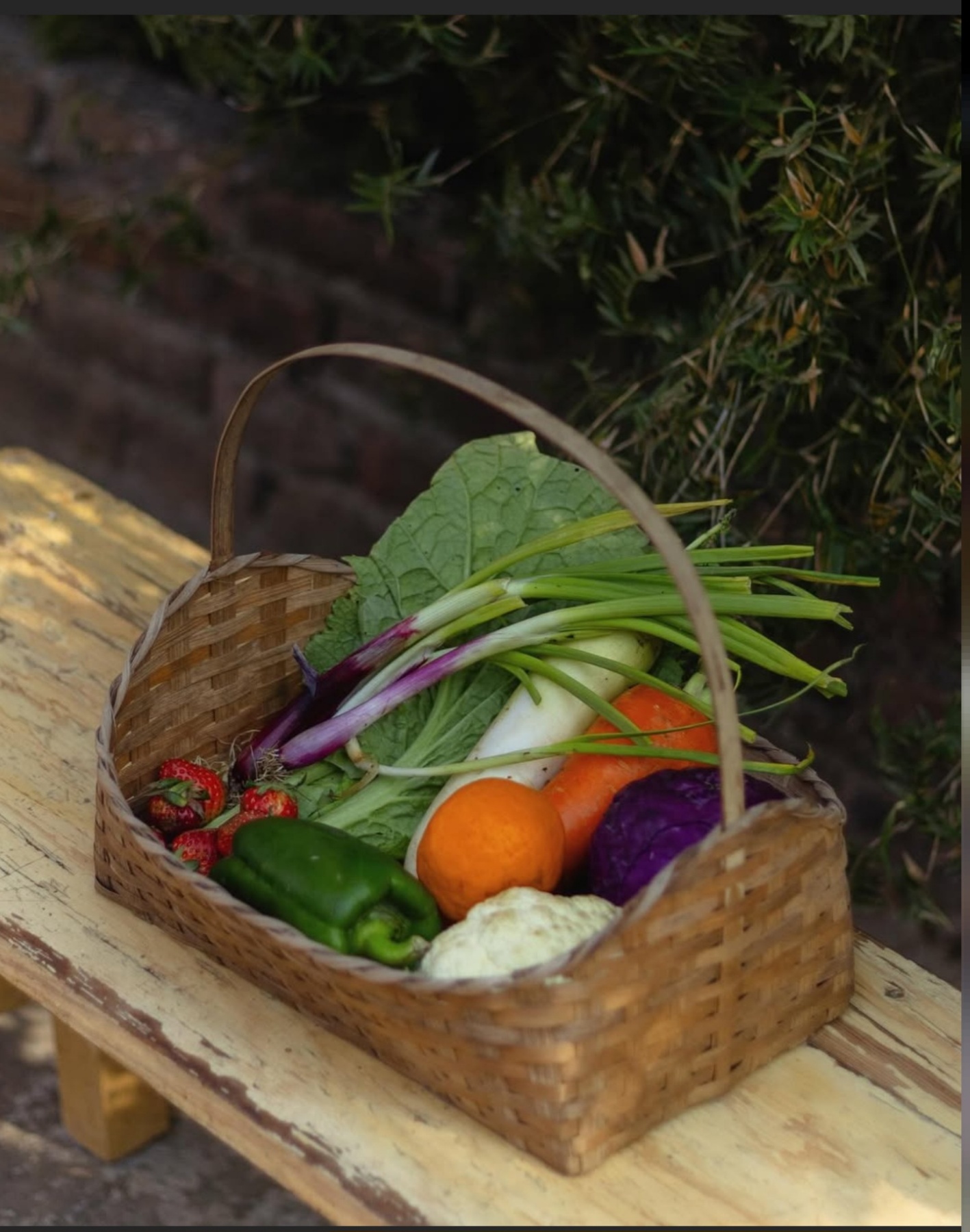 Organic Food